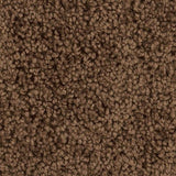 765894983760xl_1295156043.jpg