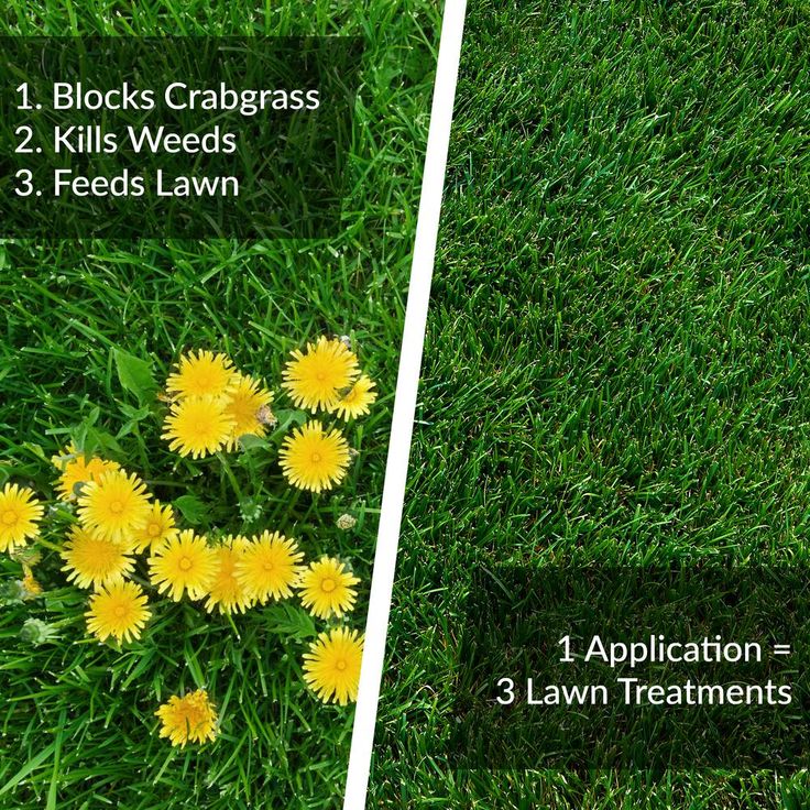 GreenView 36 lb. Fairway Formula Spring Fertilizer Weed and Feed and Crabgrass Preventer