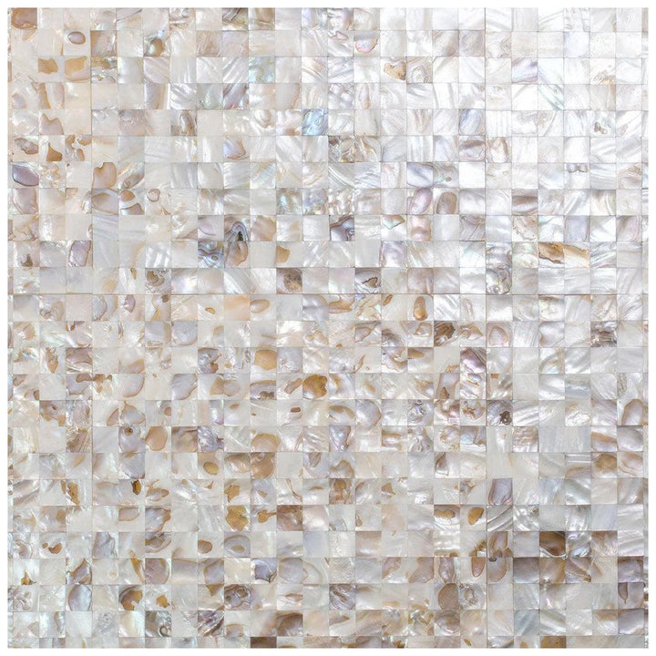 Apollo Tile Concha White, Beige 12-in x 12-in Polished Natural shell Mosaic Wall Tile product image