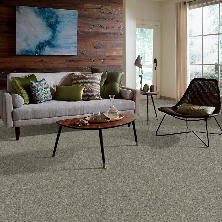 STAINMASTER PetProtect Baxter I Bentley Textured Carpet (Indoor)