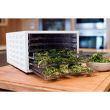 6-Tray White Food Dehydrator with Temperature Control