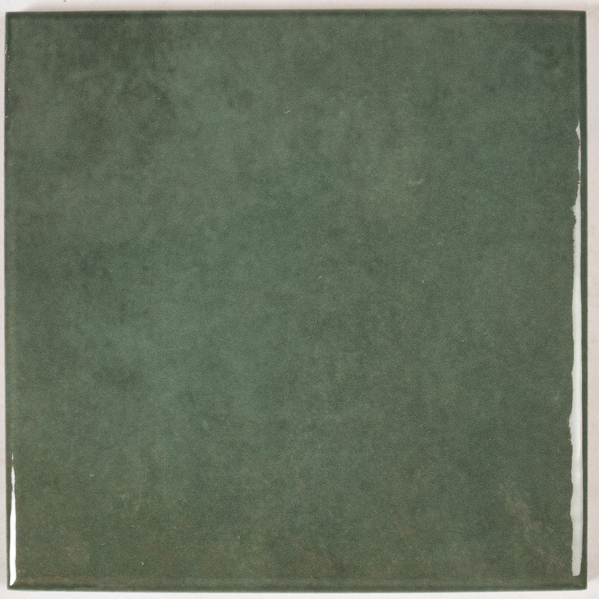 Apollo Tile Zahara Moss Green 6-in x 6-in Glossy Porcelain Floor and Wall Tile product image