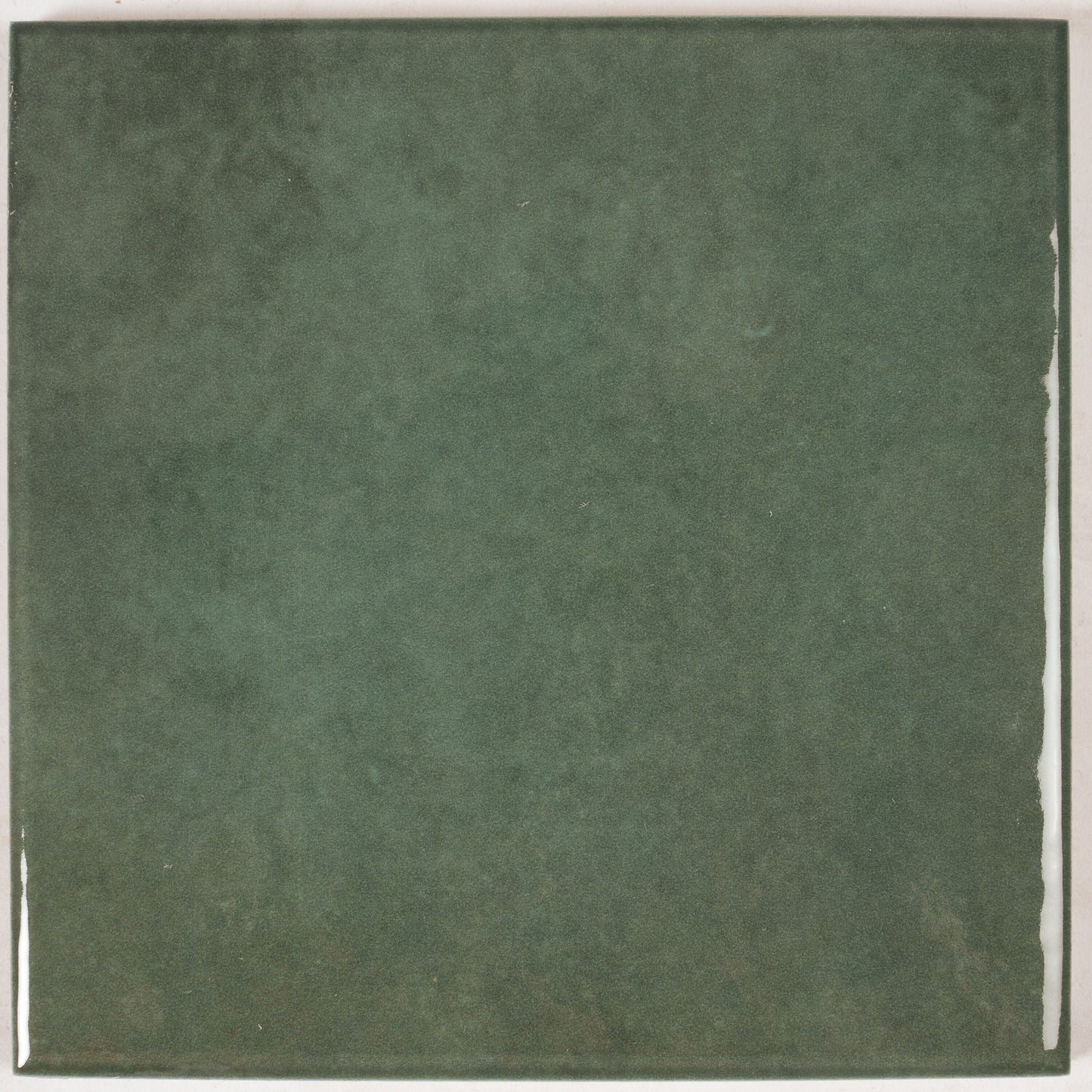 Apollo Tile Zahara Moss Green 6-in x 6-in Glossy Porcelain Floor and Wall Tile product image
