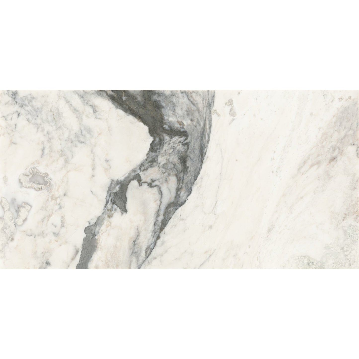 Daltile Gamma Illusive 12-in x 24-in Honed Natural stone Marble Marble look Floor and Wall Tile product image