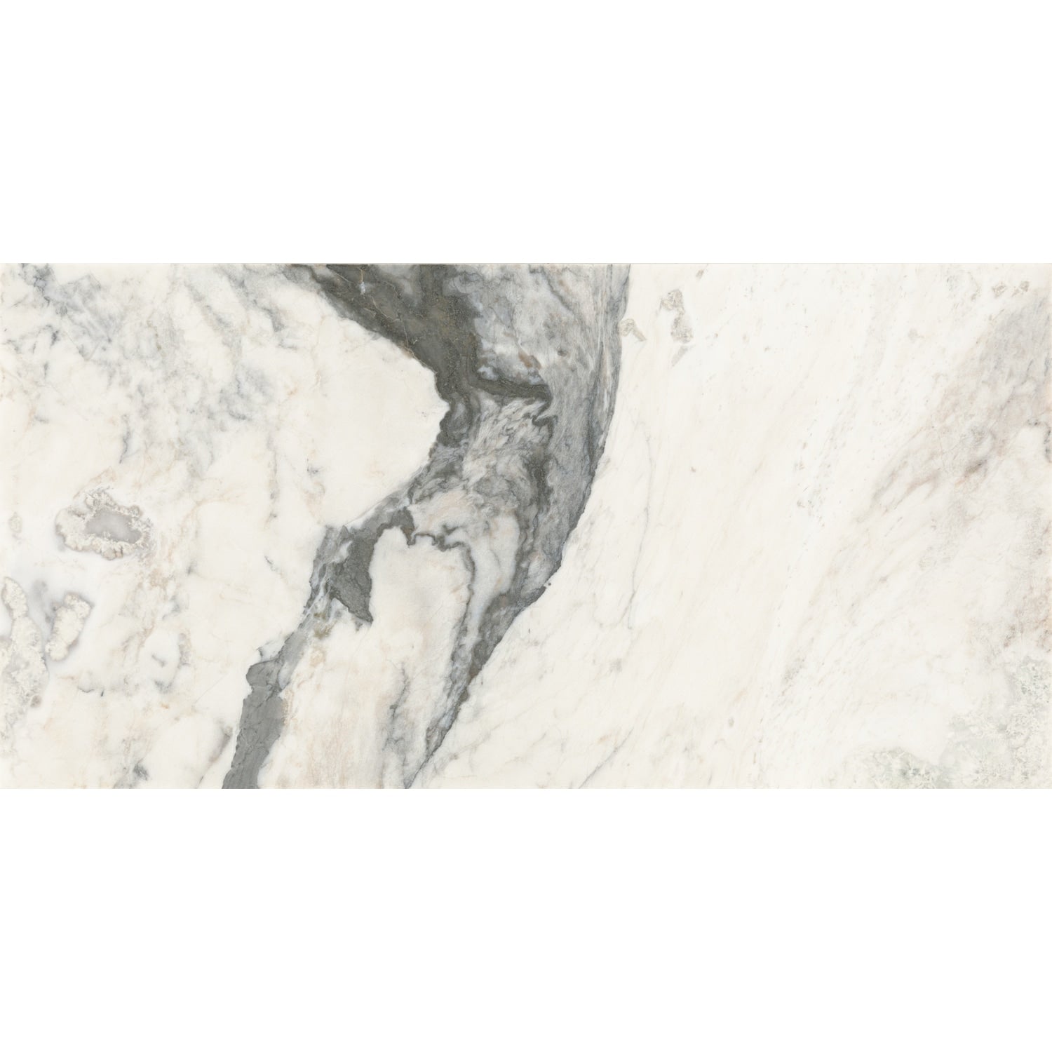 Daltile Gamma Illusive 12-in x 24-in Honed Natural stone Marble Marble look Floor and Wall Tile product image