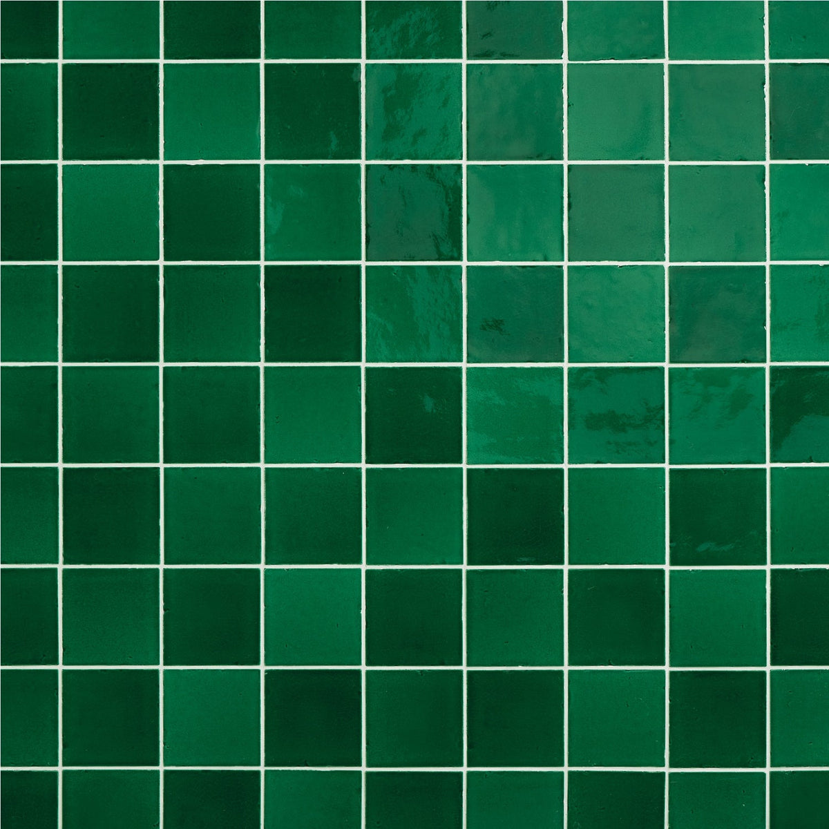 Daltile Contempee Fern 4-in x 4-in Glossy Ceramic Handcrafted look Wall Tile product image