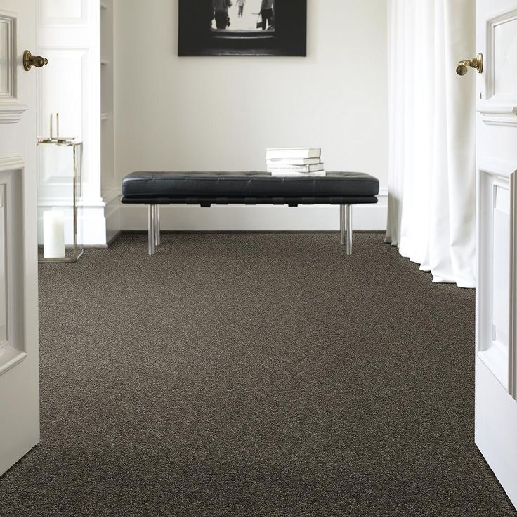 STAINMASTER PetProtect Baxter I Doberman Textured Carpet (Indoor)