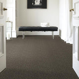 STAINMASTER PetProtect Baxter I Doberman Textured Carpet (Indoor)