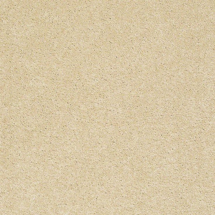 STAINMASTER PetProtect Baxter I Spaniel Textured Carpet (Indoor)