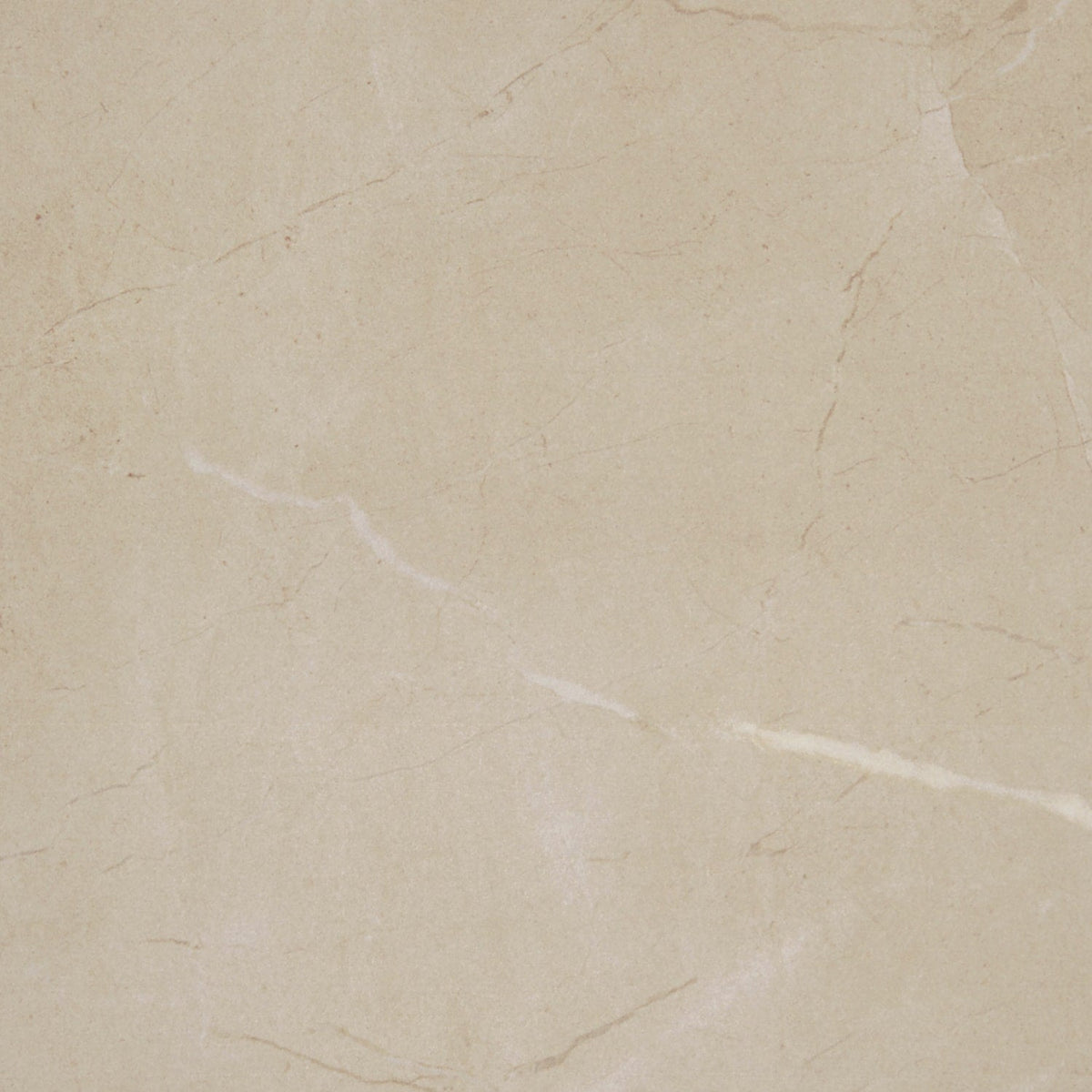 Daltile Perpetuo Elegant Beige 12-in x 12-in Matte Porcelain Marble look Floor and Wall Tile product image
