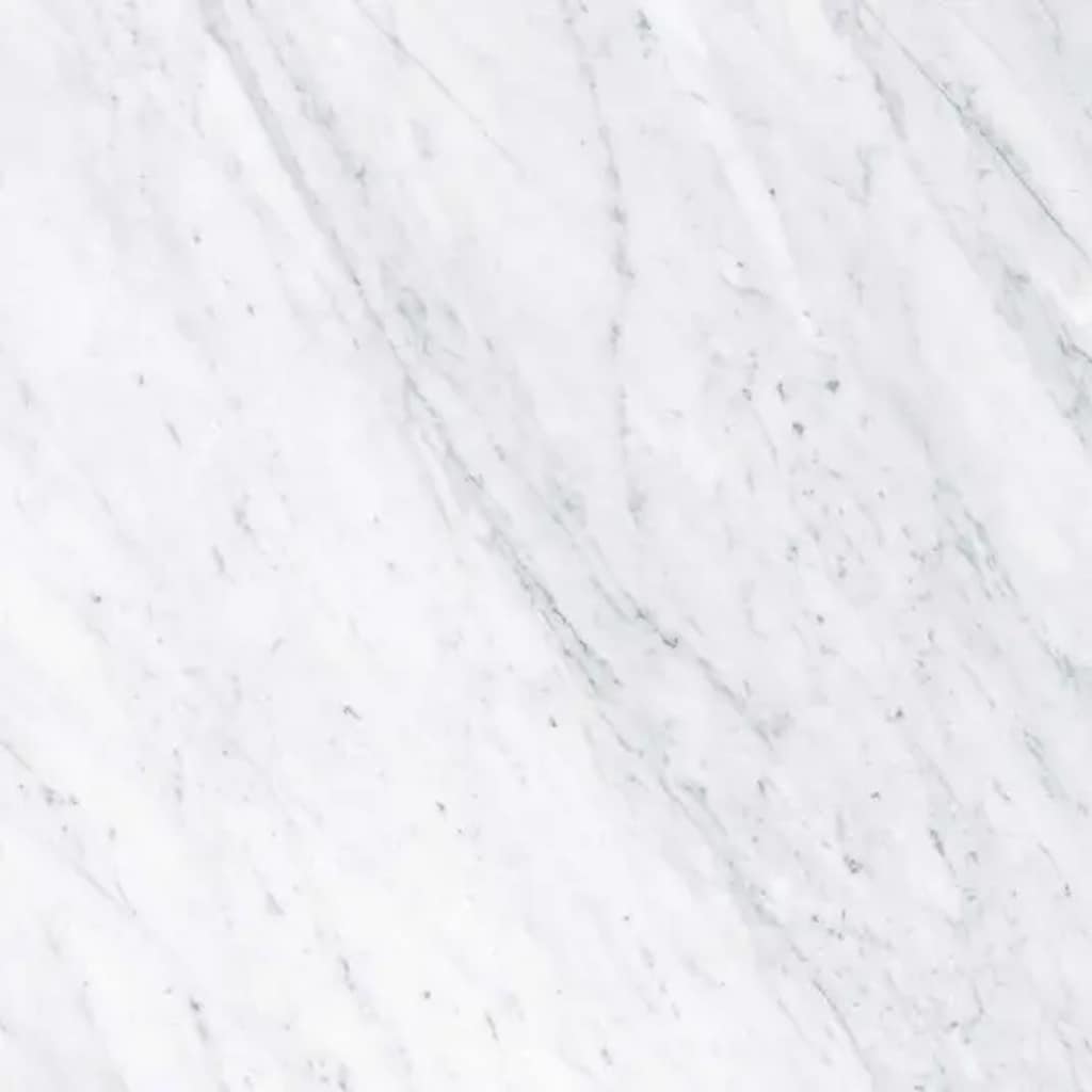 Apollo Tile Regalia White 24-in x 24-in Matte Porcelain Encaustic Floor and Wall Tile product image