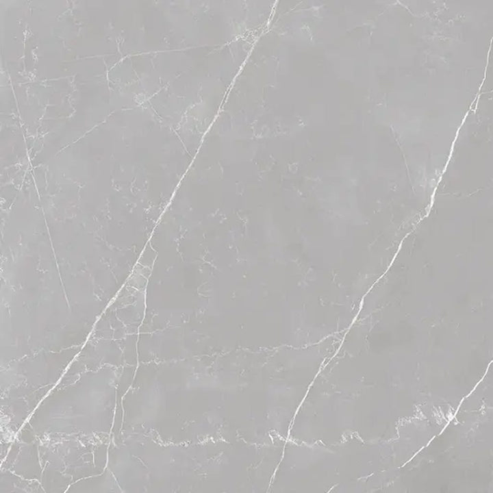 Apollo Tile Regalia Ash Gray 24-in x 24-in Matte Porcelain Encaustic Floor and Wall Tile product image