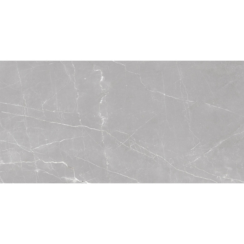 Apollo Tile Regalia Ash Gray 24-in x 48-in Matte Porcelain Encaustic Floor and Wall Tile product image