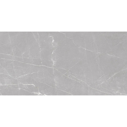 Apollo Tile Regalia Ash Gray 24-in x 48-in Matte Porcelain Encaustic Floor and Wall Tile product image