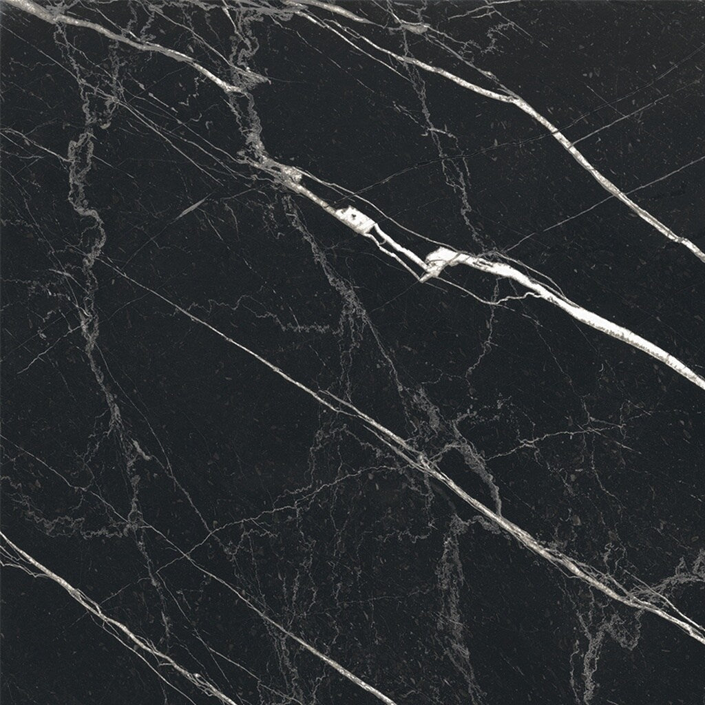 Apollo Tile Regalia Nero Black 24-in x 24-in Matte Porcelain Encaustic Floor and Wall Tile product image