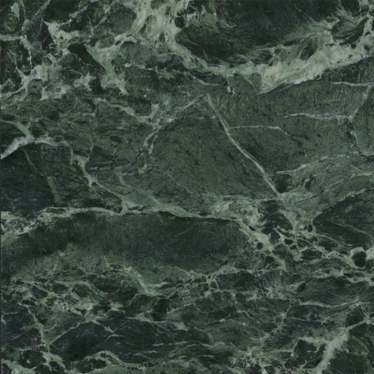 Apollo Tile Regalia Verde Alpi 24-in x 24-in Matte Porcelain Encaustic Floor and Wall Tile product image