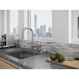 Zanna Single-Handle Pull-Down Sprayer Kitchen Faucet with Soap Dispenser in Spot Defense Stainless Steel - Super Arbor