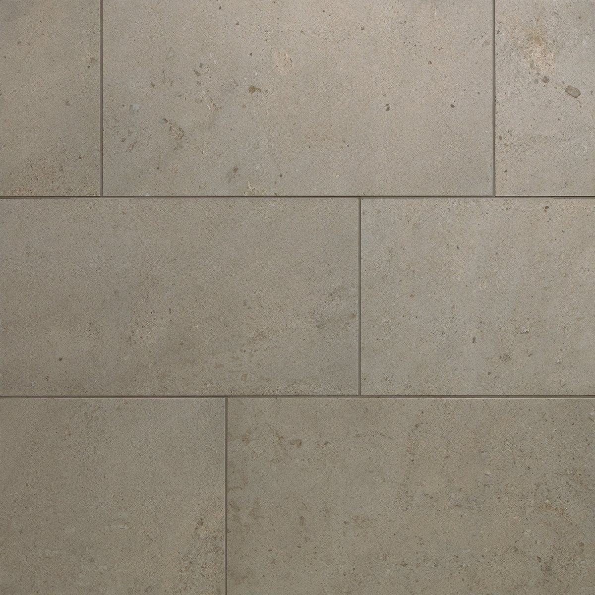 Daltile Sand and Stone Dune 12-in x 24-in Matte Porcelain Floor and Wall Tile product image