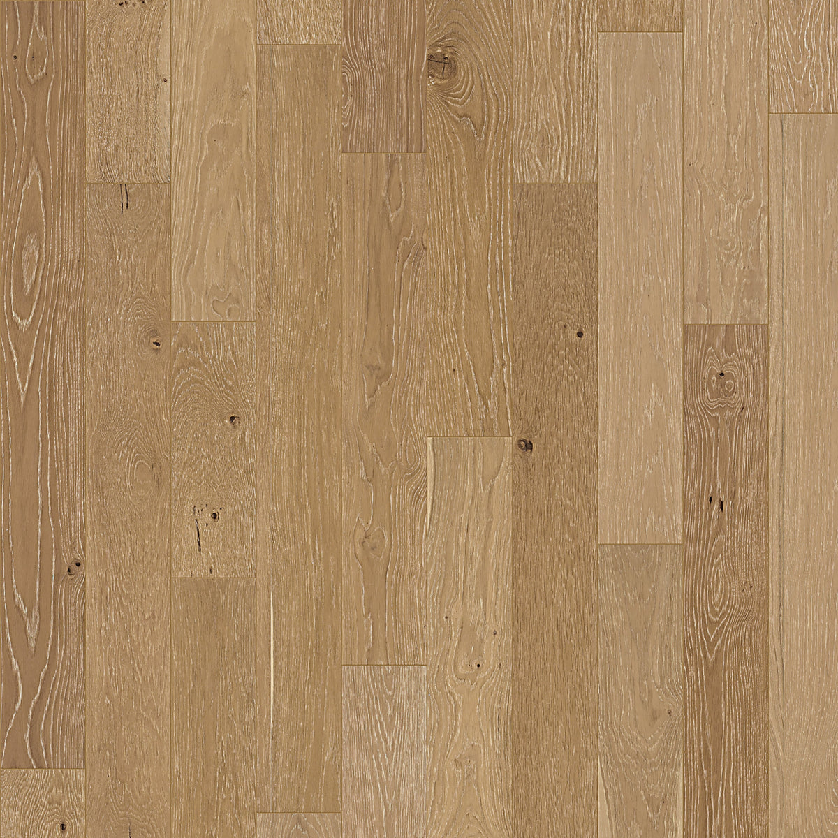 Element Flooring European white oak Wateree hardwood flooring — primary plank view