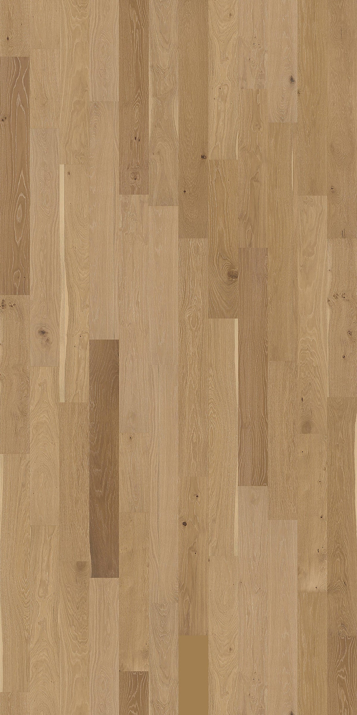 Element Flooring European white oak Wateree hardwood flooring — detail view