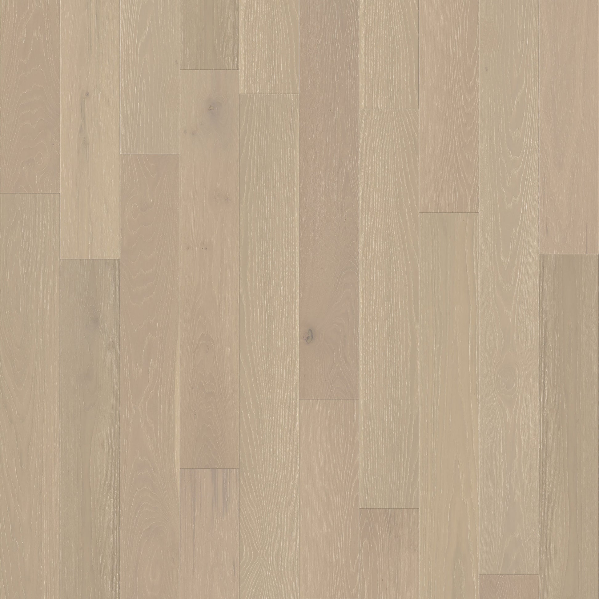 Element Flooring European white oak Dameron hardwood flooring — primary plank view