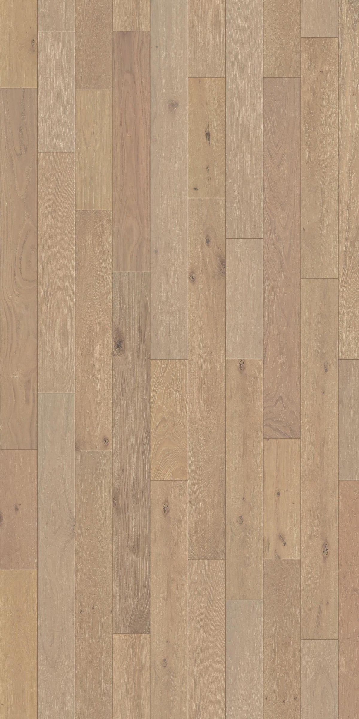 Element Flooring Oak Alsip hardwood flooring — detail view