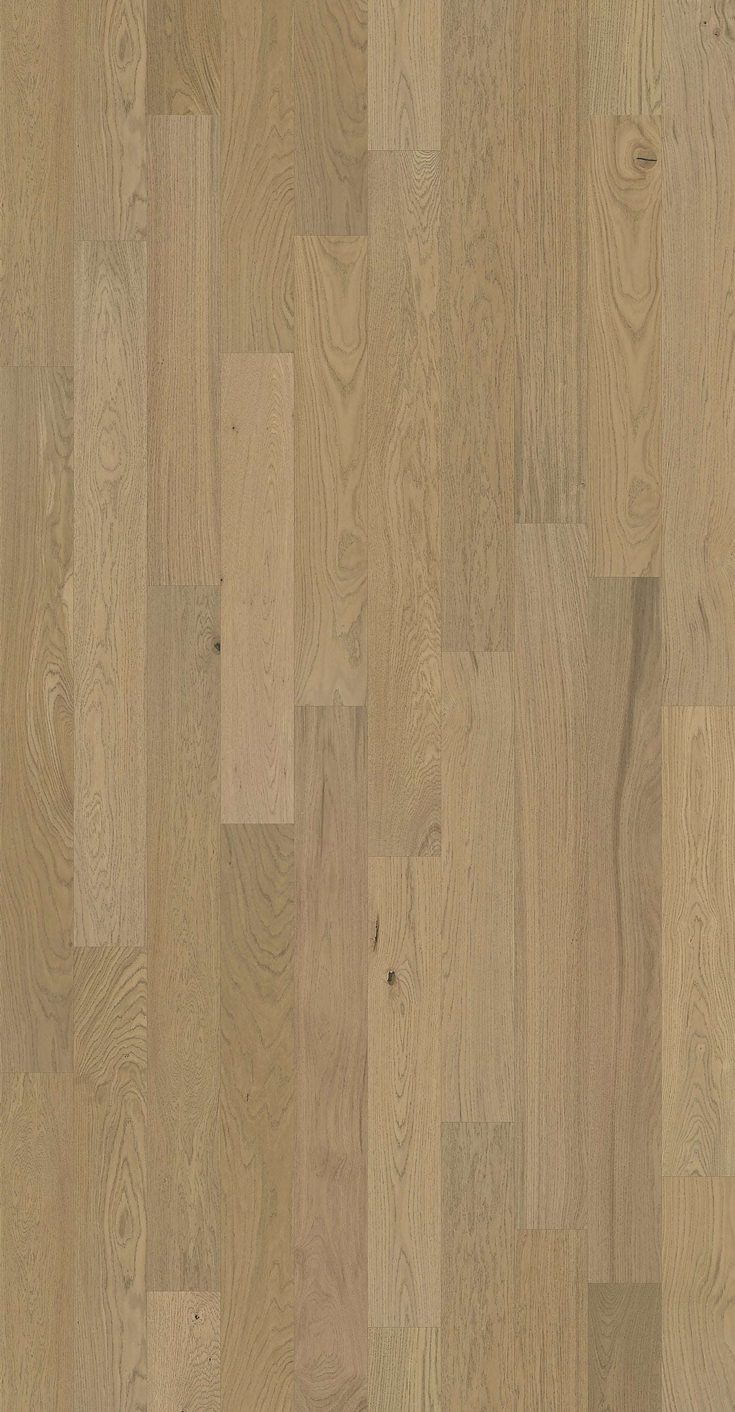 Element Flooring European white oak Parson hardwood flooring — detail view