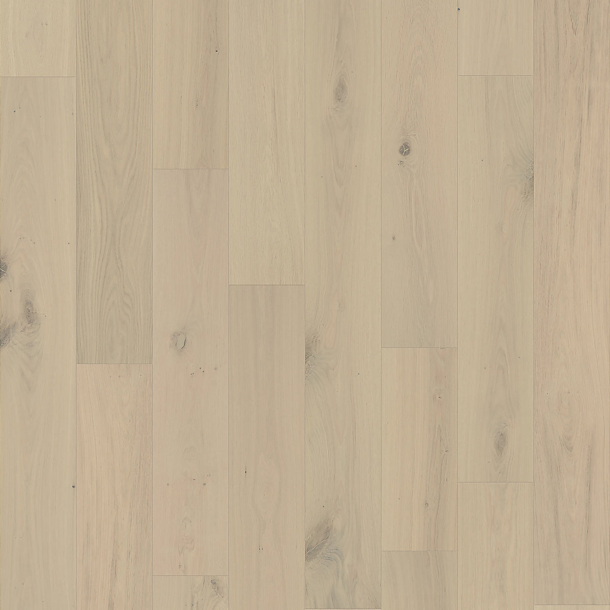 Element Flooring European white oak Coster hardwood flooring — primary plank view