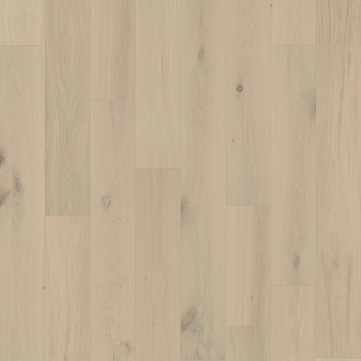 Element Flooring European white oak Coster hardwood flooring — primary plank view