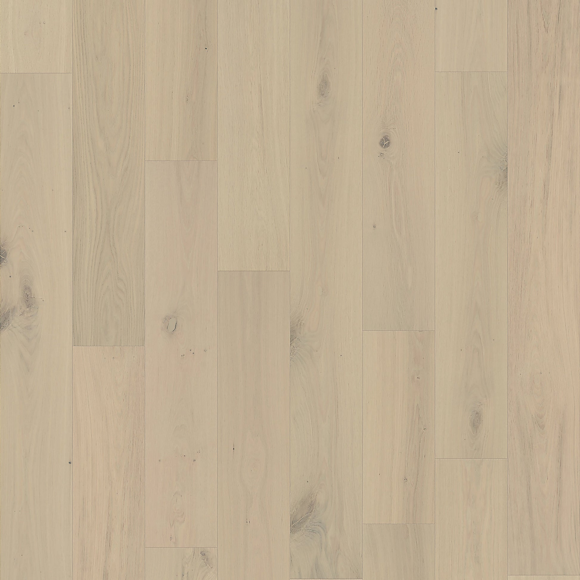 Element Flooring European white oak Coster hardwood flooring — primary plank view
