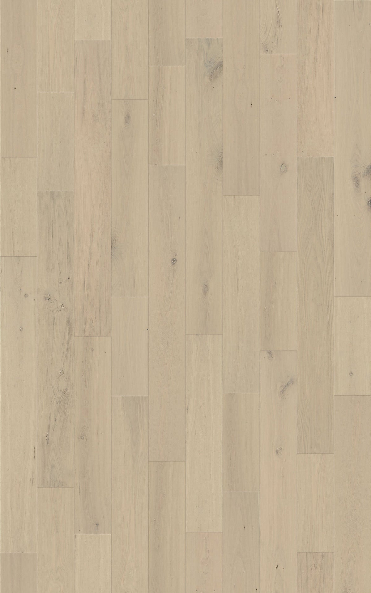 Element Flooring European white oak Coster hardwood flooring — detail view