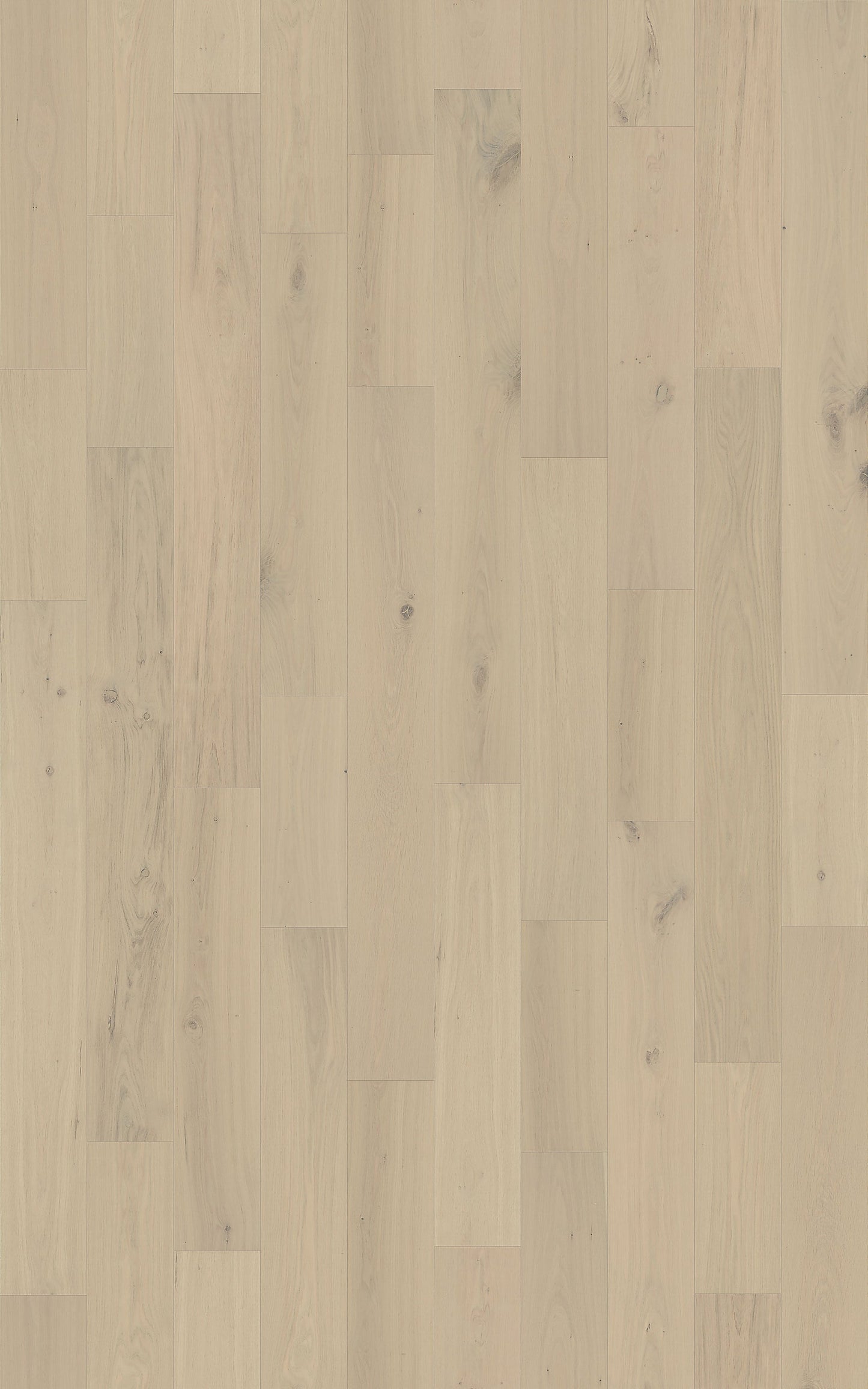 Element Flooring European white oak Coster hardwood flooring — detail view