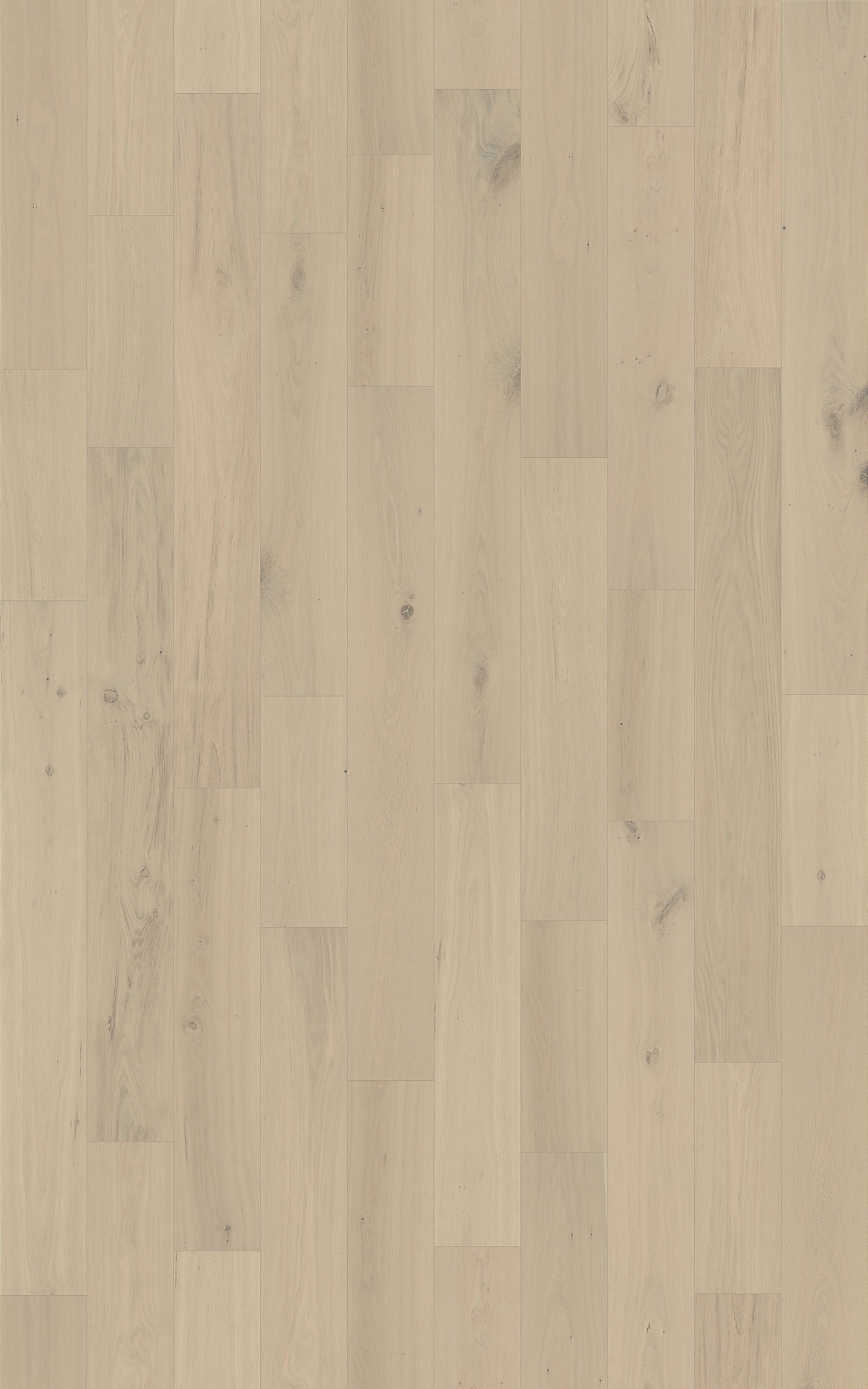 Element Flooring European white oak Coster hardwood flooring — detail view