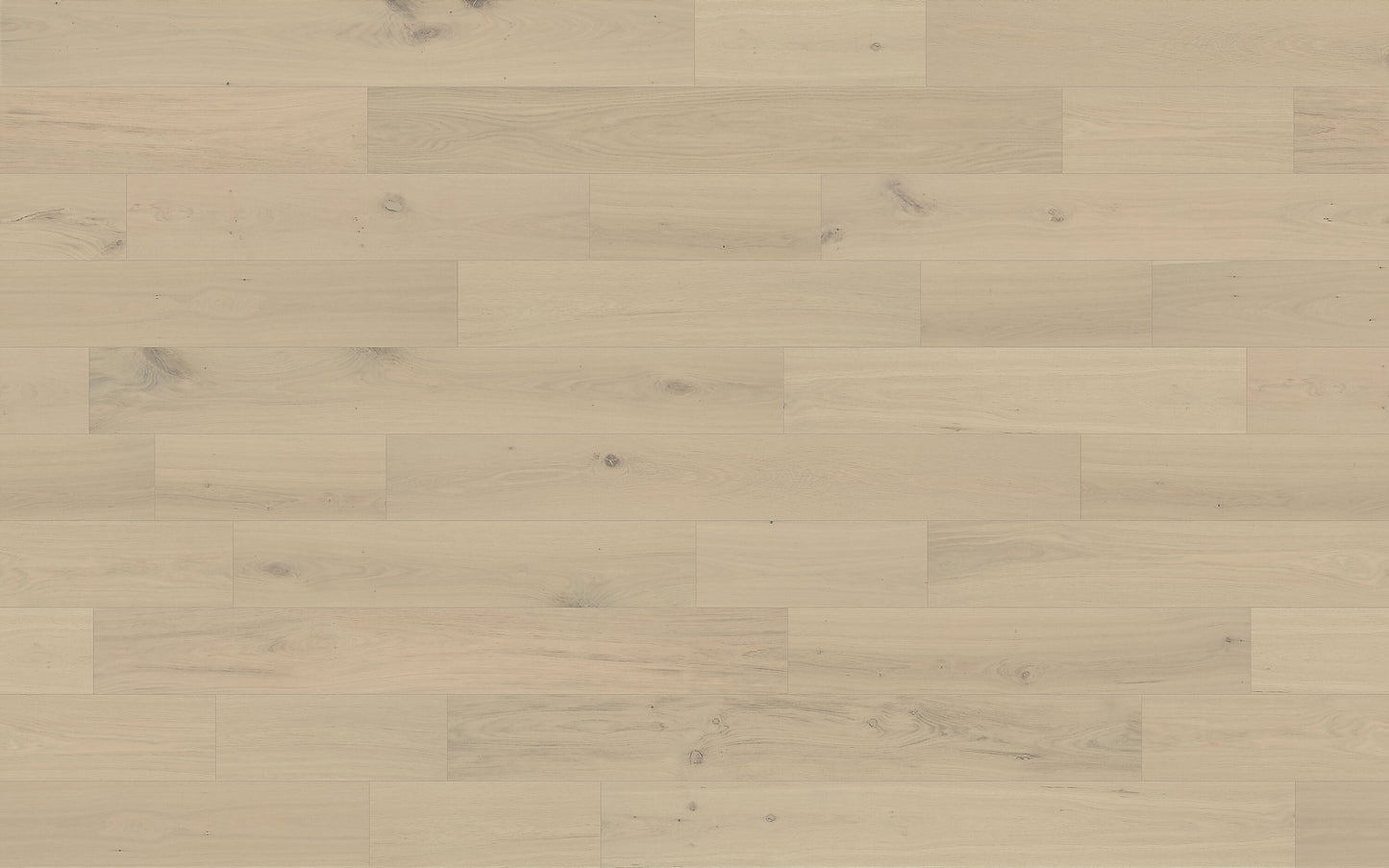 Element Flooring European white oak Coster hardwood flooring — view 10