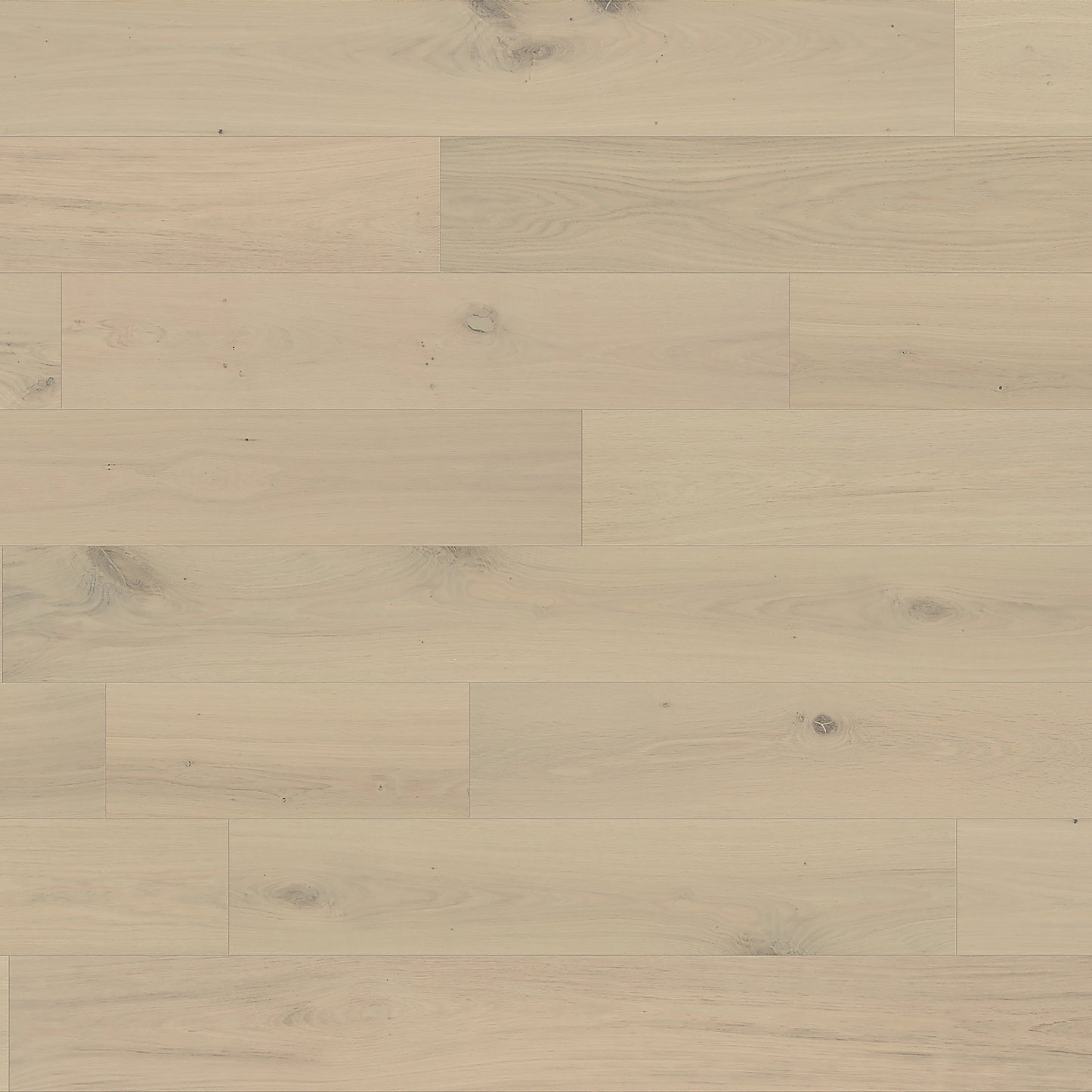 Element Flooring European white oak Coster hardwood flooring — view 15