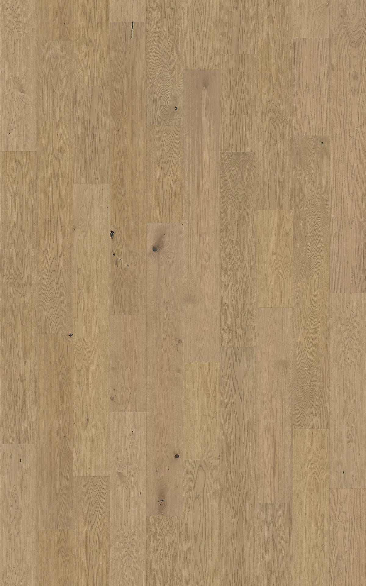 Element Flooring European white oak Nairn hardwood flooring — detail view