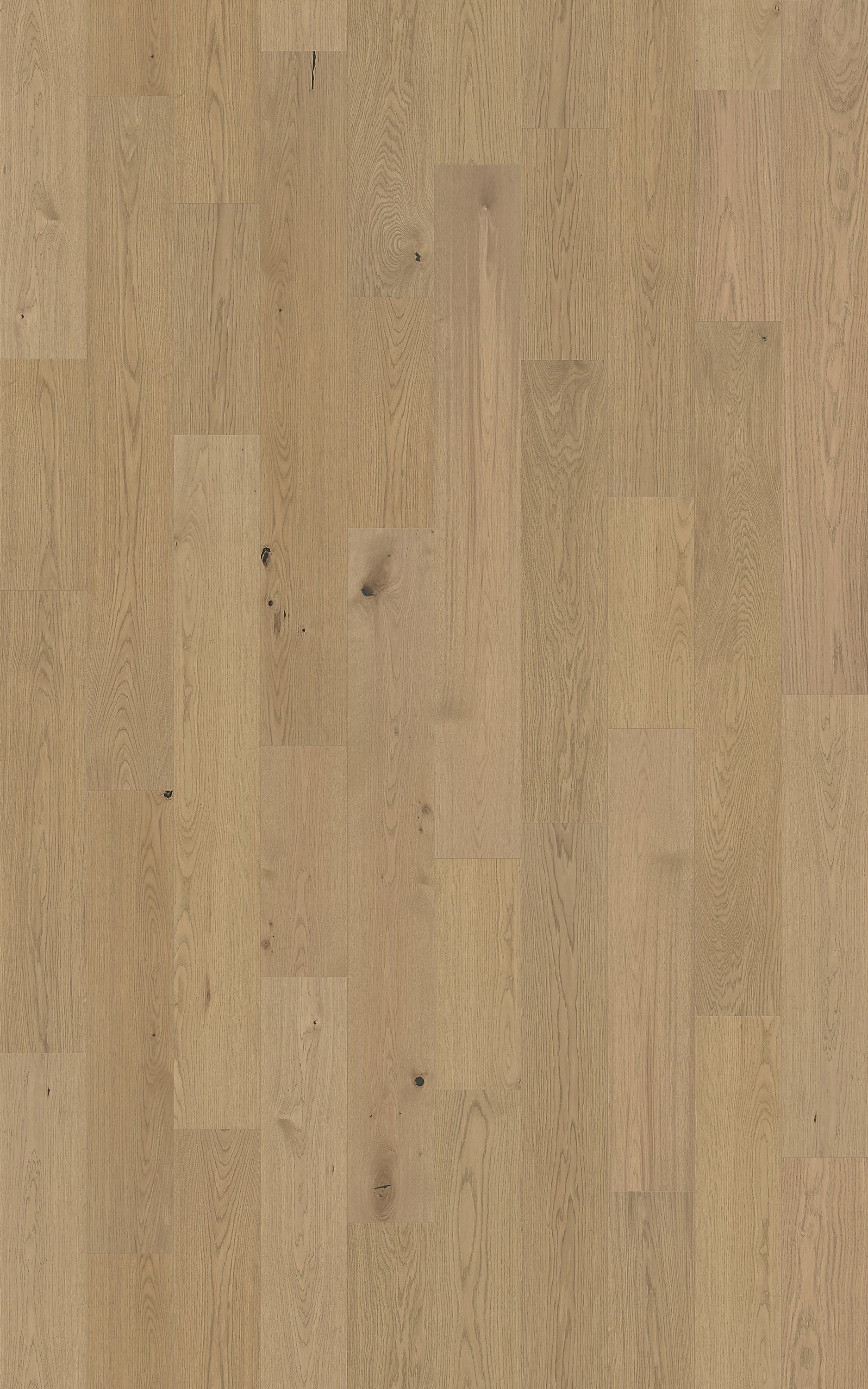 Element Flooring European white oak Nairn hardwood flooring — detail view