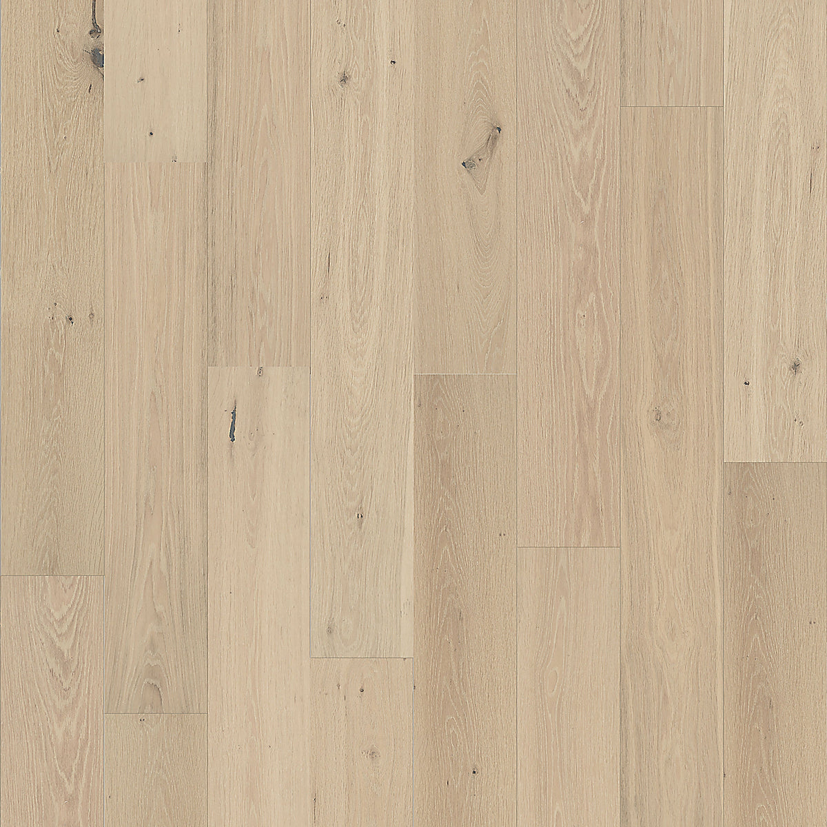 Element Flooring European white oak Gillen hardwood flooring — primary plank view