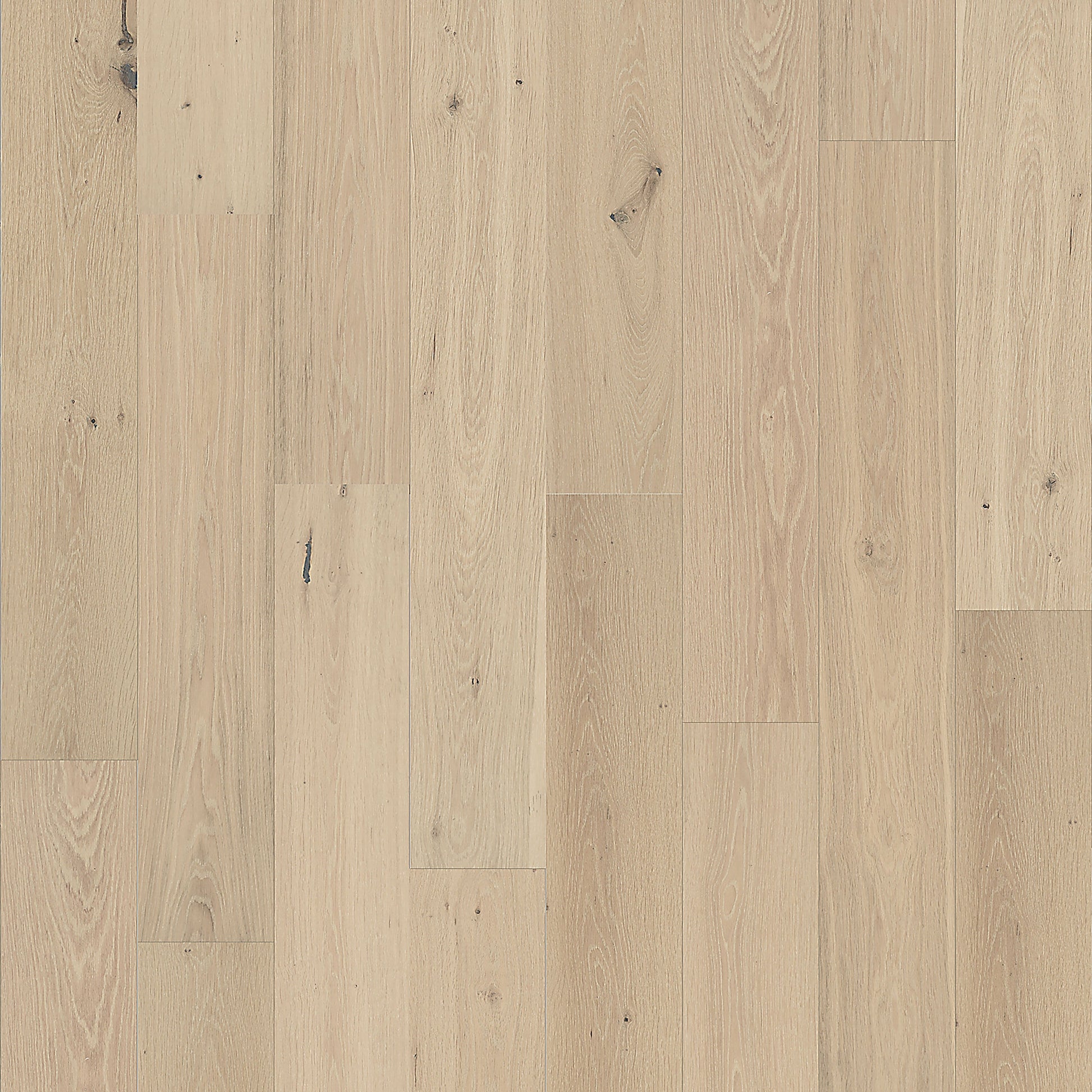 Element Flooring European white oak Gillen hardwood flooring — primary plank view