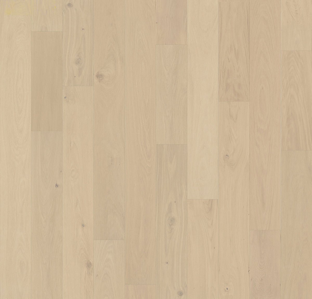 Element Flooring European white oak Moore hardwood flooring — primary plank view