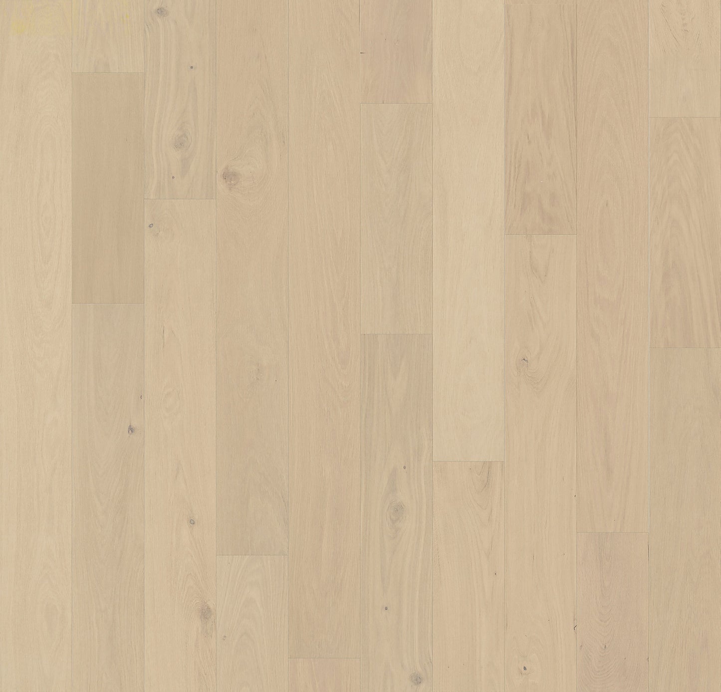 Element Flooring European white oak Moore hardwood flooring — primary plank view