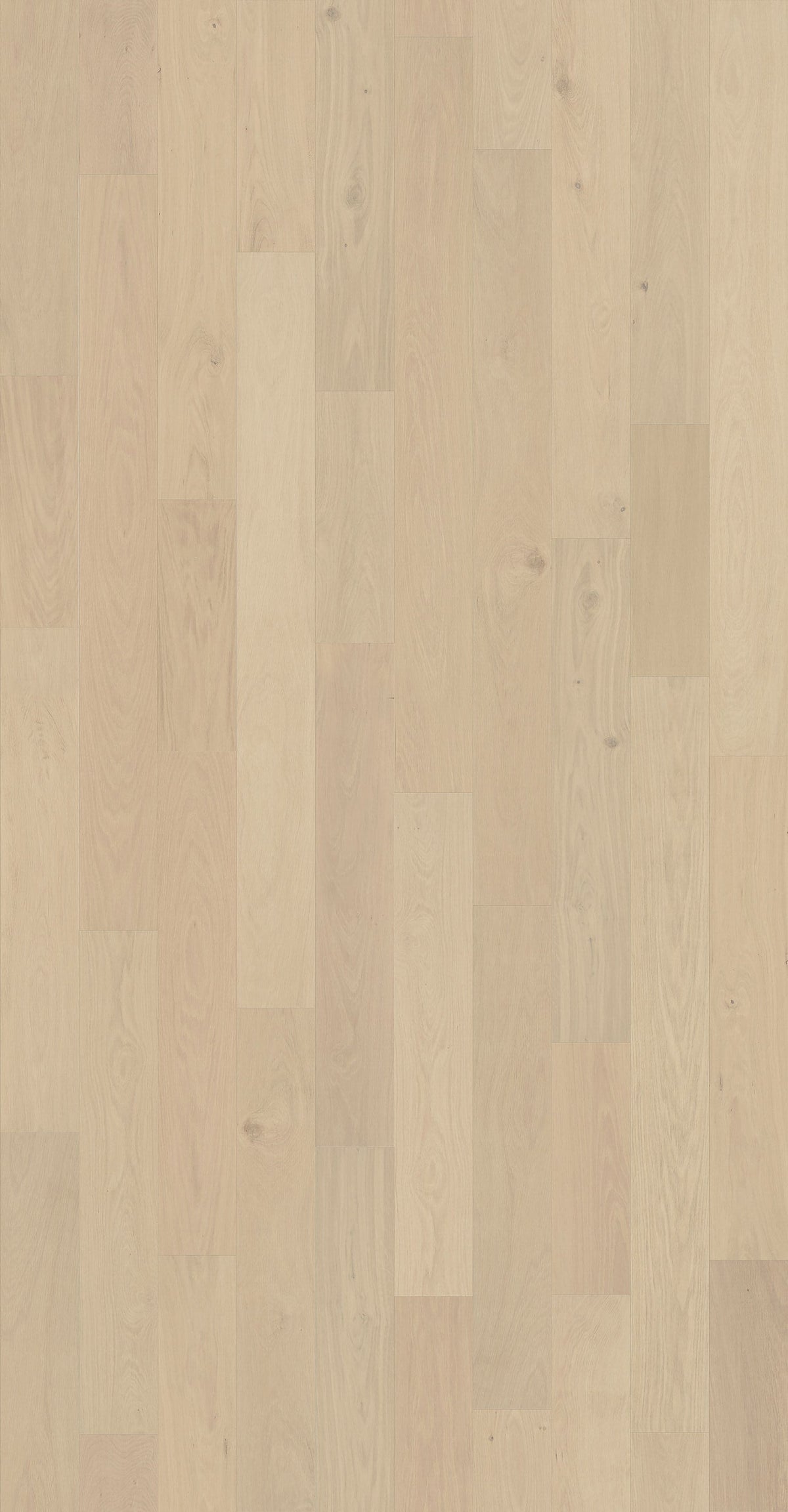 Element Flooring European white oak Moore hardwood flooring — detail view