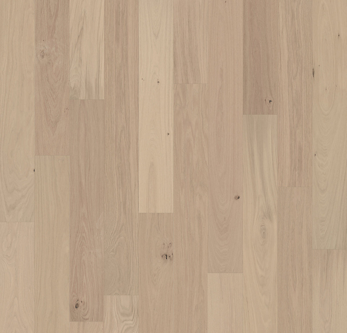 Element Flooring European white oak Clovis hardwood flooring — primary plank view