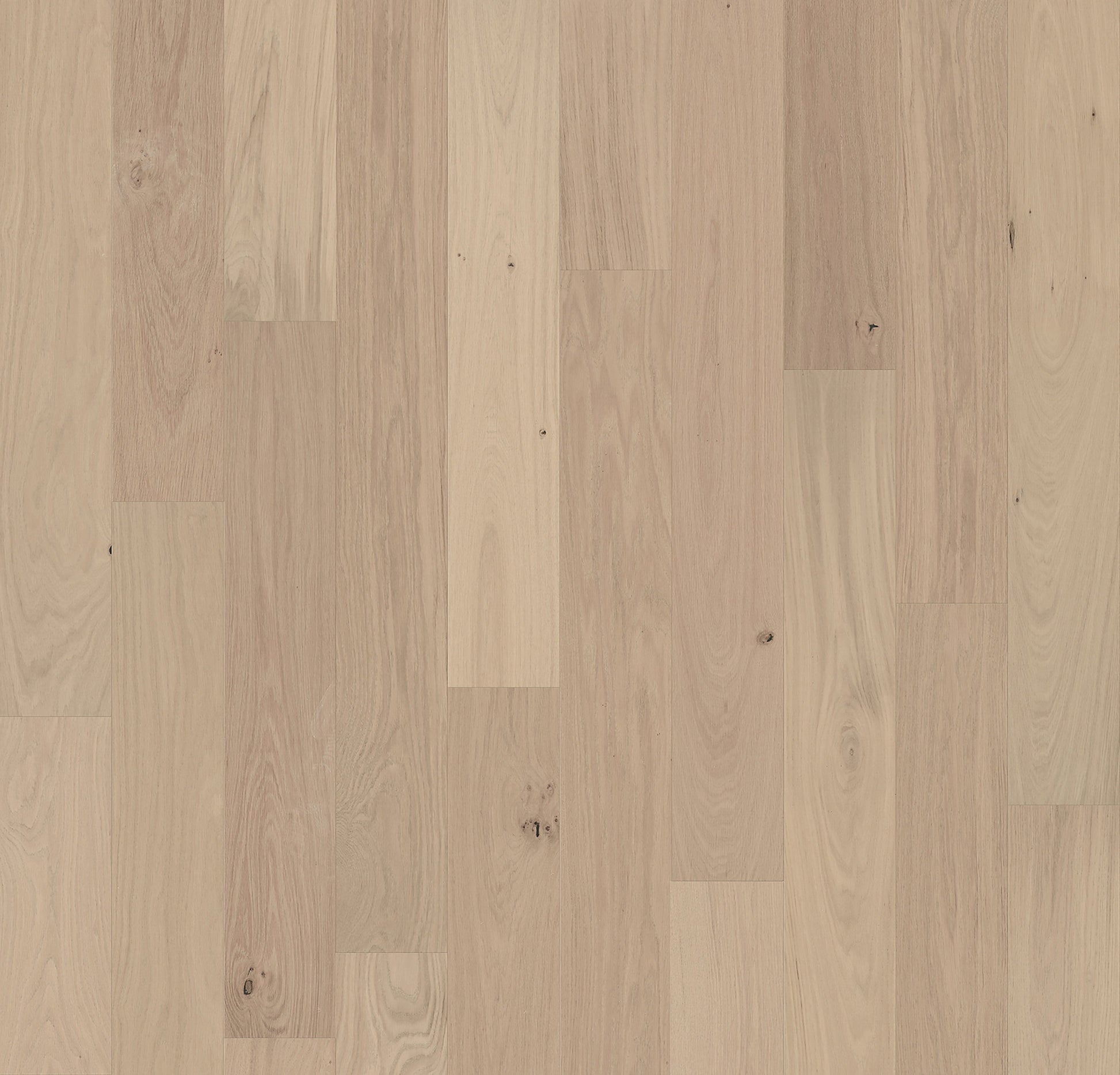 Element Flooring European white oak Clovis hardwood flooring — primary plank view