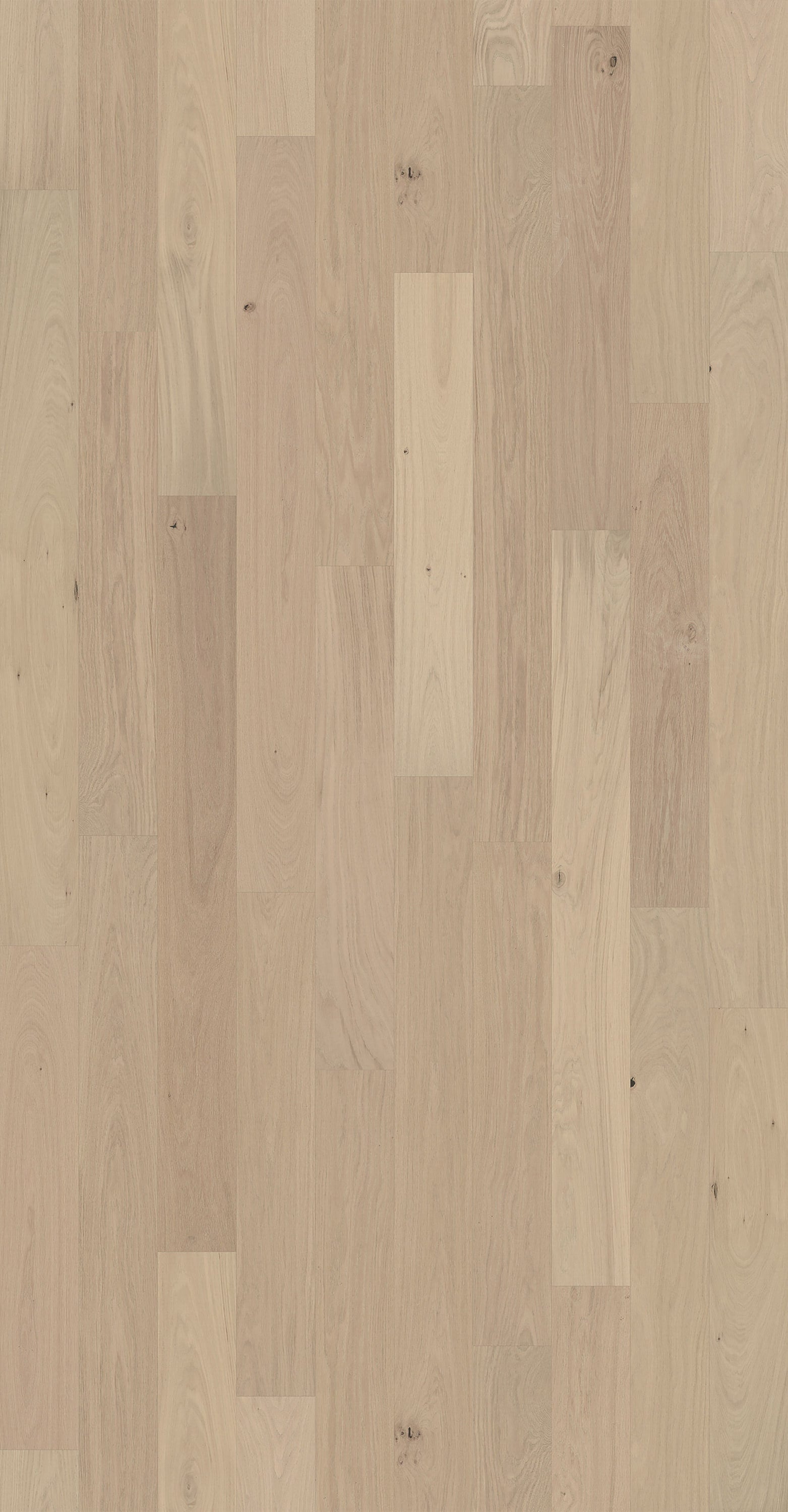 Element Flooring European white oak Clovis hardwood flooring — detail view