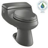 San Raphael Comfort Height 1-Piece 1.0 GPF Single Flush Elongated Toilet in Thunder Grey, Seat Included - Super Arbor