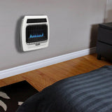 10,000 BTU Blue Flame Vent Free Natural Gas Thermostatic Wall Heater - Super Arbor