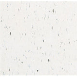 Armstrong Imperial Texture VCT 12 in. x 12 in. Screamin Pumpkin Standard Excelon Commercial Vinyl Tile (45 sq. ft. / case) - Super Arbor