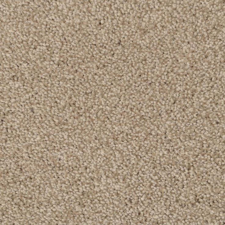 STAINMASTER Signature Briar Patch Zumba Textured Carpet Sample (Interior)