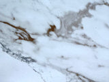 Calacatta Gem 12-in x 24-in Matte Porcelain Marble Look Floor and Wall Tile (1.95-sq. ft/ Piece) - Super Arbor